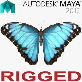 Morpho Peleides Butterfly Rigged for Maya 3D model